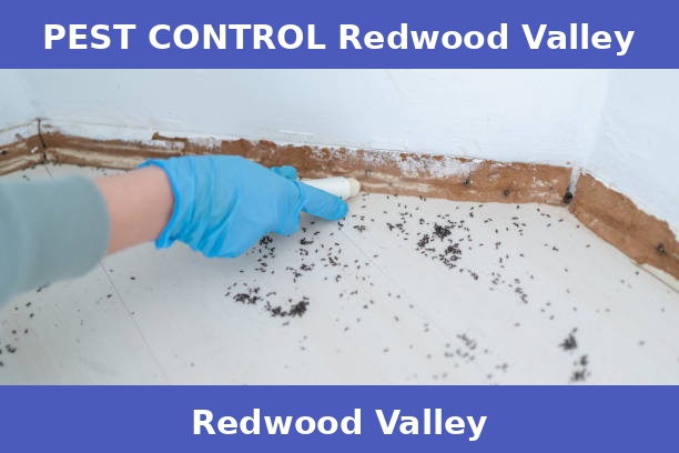 PEST CONTROL Redwood Valley